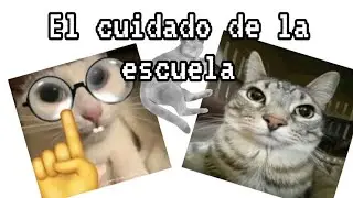 El cuidado de la escuela 🏫 (esplicado por gatos)