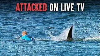 How to Survive a Great White Shark Attack
