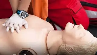 В двух словах. О курсах Emergency First Response (оказание первой помощи)