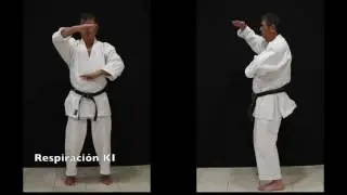 Zen Meditacion en Movimiento SHI ZEN TAI instrucciones