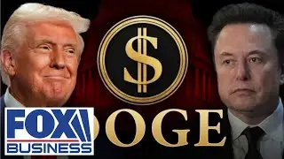Dems are &lsquo;frightened&rsquo; of &lsquo;accountability&rsquo; from DOGE, CEO argues