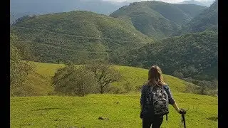 ANFAMA (Tucumán)