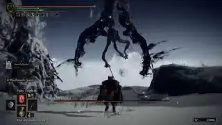Death Rite Bird Boss Battle (Elden Ring)