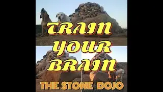 TRAIN YOUR BRAIN ☆ THE STONE DOJO GYM ☆ PERSONAL MOTIVATION MONUMENT ☆ FITNESS WITH THE MEERKAT MAN