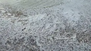 Closeup of crystallized salt texture on earthy surface with distinctive white formations