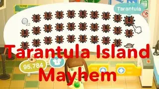 ACNH Tarantula Island Mayhem
