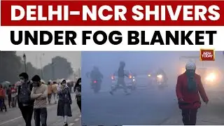 Delhi Weather Update: IMD Issues Yellow Alert For Fog; Air Quality Deteriorates To GRAP 3 Levels