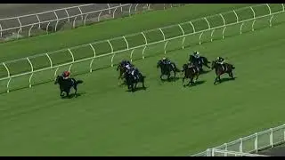 Son of GRAFF an impressive winner at Eagle Farm!