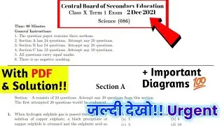 CBSE Class 10 Science Term 1 Exam Question Paper | Class 10 Science Important Diagrams for Term 1