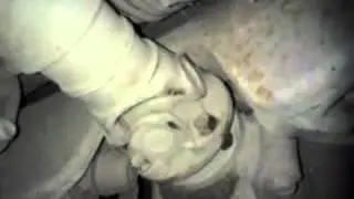 MOV00036