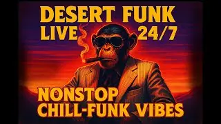 🌵 Desert Funk LIVE 24/7 🎸 Nonstop Chill-Funk Guitar Vibes for Study, Work & Night Drive