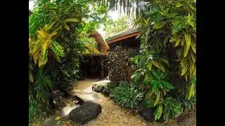 5 Day Budget Yoga Retreat in Costa Rica