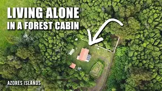 LIVING OFF THE GRID ALONE IN A SELF-BUILD CABIN FOR TWO YEARS | AZORES ISLANDS