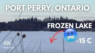 Port Perry, Ontario Small Town | 4k Walk Tour