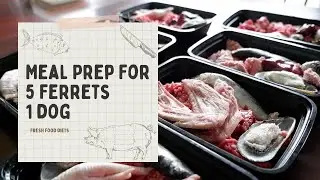 Homemade Pet Food