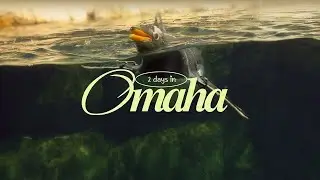 2 Days In Omaha | Aksarben, Henry Doorly Zoo, Wings & Rings | Cinematic Vlog