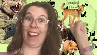 How to save the Australian ecosystem?&hellip; with dingoes!