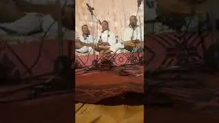 مدح تجاني هربت للحرم🔷 دار النبي🔷 المداح السعيد العاتي والمداح سعد حريز