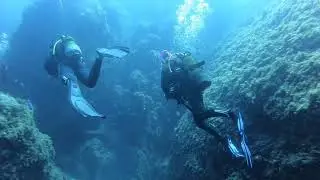 Plongée Calvi (Revellata)