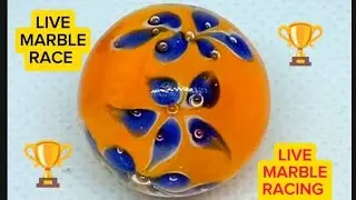 MARBULOUS MARBLE RACING WAS LIVE. MARBLE RACE. MARBLE RUN. 