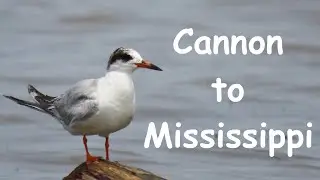 To Red Wing Via Cannon and Mississippi Rivers