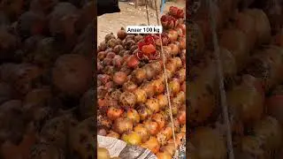 Anwar Dana.  #shortsviral #minivlog #ytshorts #shortsviral #barabanki #vlog #shortvideos