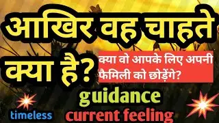 current feeling hindi,आपके पार्टनर की वर्तमान भावनाएं,next action@tarot#collective,timeless❤️❤️love