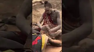 Why Tribal Men Smear Mud on Brides? Survival Secrets Revealed! #shorts #animals #africa #adivasi #gk