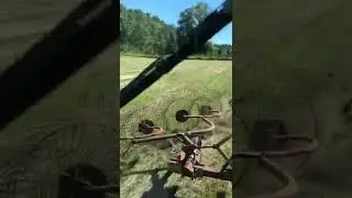 V Raking Hay