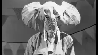 Elephant In The Room