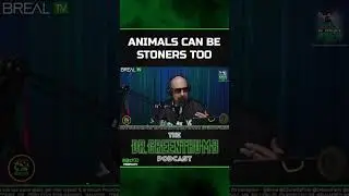 Talkin stoner Shit with Shirley Ju