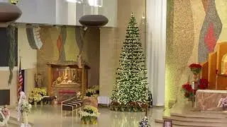 T&igrave;nh Cha Nghĩa Mẹ. St: Lm. Nguyễn Duy. Tb: ca sỹ Lệ Hằng 