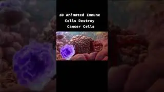 How our immune cells protect us 3d animation #immunesystem #cancer #defence #trending