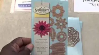 Haul: bored grinding for these coins - Simply Shanta