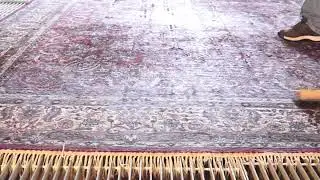 How we Shampoo Clean Oriental Carpet | PetPeePee
