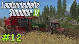 LS17 Wild Farming #12 - FSX Flugsimulator | Landwirtschafts Simulator 17 Multiplayer