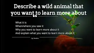 IELTS speaking cue cards| Describe a wild animal that you want to learn more about| 7+ band answers 