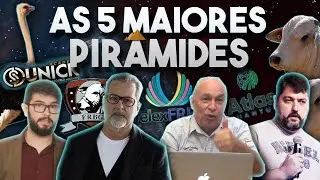As 5 MAIORES PIR&Acirc;MIDES FINANCEIRAS do BRASIL! E os seus idealizadores...