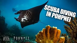 Diving in Pohnpei {Micronesia} | #006 | Maddy and Chase