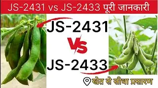 js-2431 सोयाबीन की नई वैरायटी और js-2433 सोयाबीन की वैरायटी में अंतर। दोनो वेराइटी की तुलना।