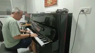 Sibelius - Impromptu no. 5  - My own version