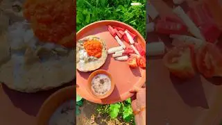 देशी तरीके से बनाई कच्ची लाल मिर्च की चटनी#shorts#shortsfeed#shortsvideo#trending#desikhana#gaon#gav