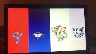 Pok&eacute;mon world tour intro