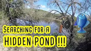We Found a Hidden Pond LOADED with BASS #bassfishing #fishingadventure #pondfishing