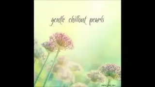 Peace aura ~ Steven Solveig ~