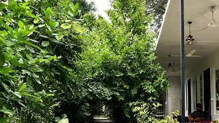 Indian Culture Hostel | Rishikesh, India | Hotel Review 🛏️