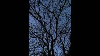 D&uuml;menden Radyo #3 ama Acapella