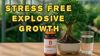 Place one of the pills in a plant pot watch how they grow like crazy!