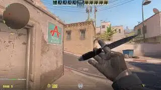 Skeleton Knife | Damascus Steel  (Minimal Wear)