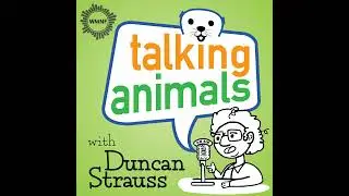 Acclaimed photographer Claire Rosen--renowned for her work depicting animals in whimsical ways--d...